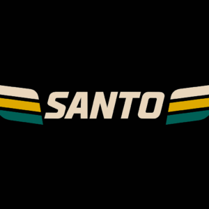 Iram Pereira do Espírito Santo - BC25